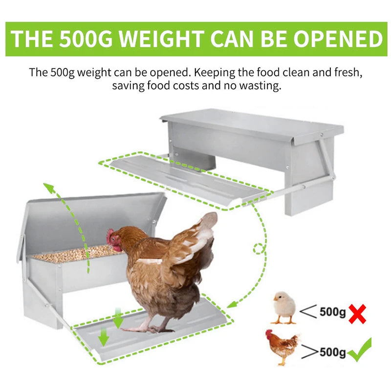 Automatic Chicken Feeder Stainless Steel Poultry Feeding Trough Feed Dispenser Equipment