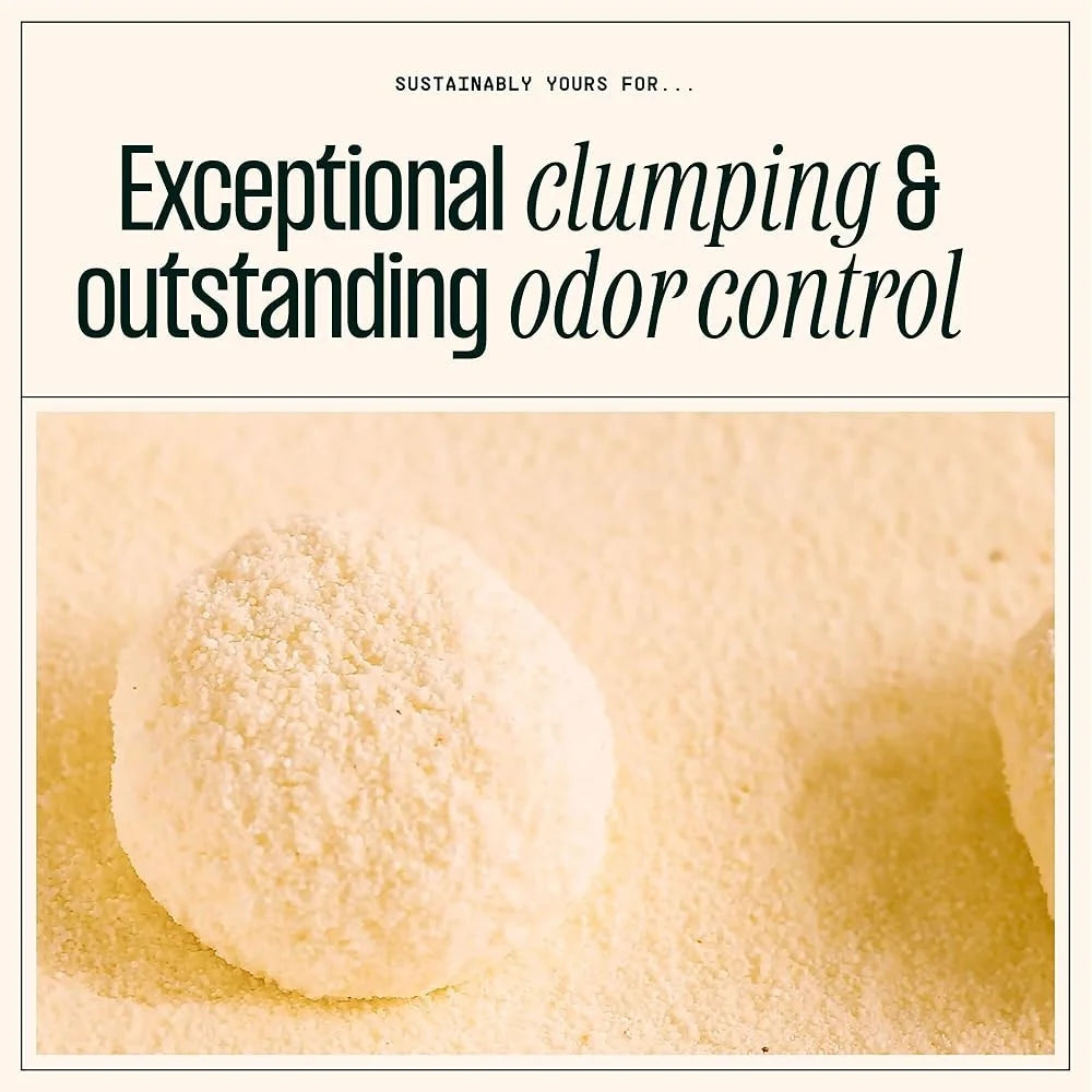 Cat Litter Unscented Natural Clumping Formula 10 Pounds Exceptional Odor Control Corn Cassava Multi Grain Clumping Pet Supplies