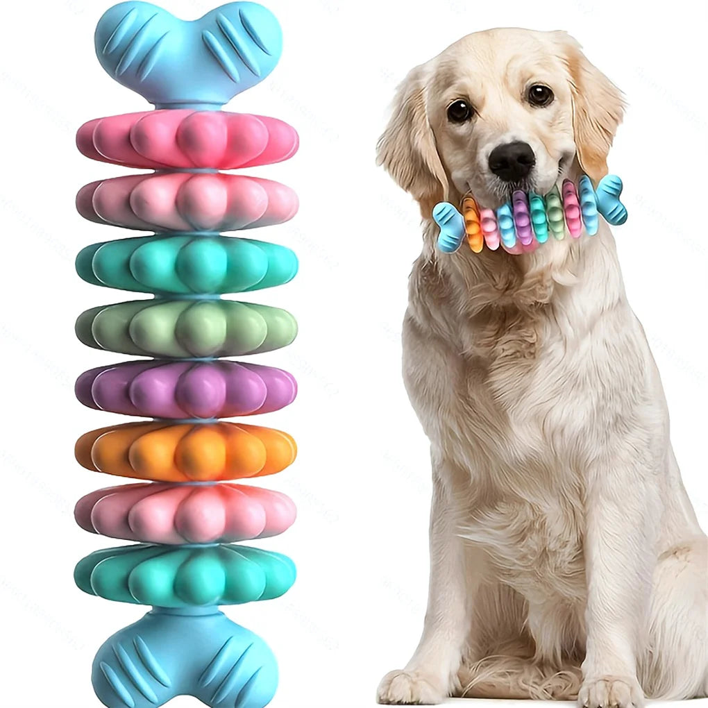 2PCS Set Pet Toy Dog Chew Bone Multi Color Durable Teething Resistant Design for Gnawing and Dental Care