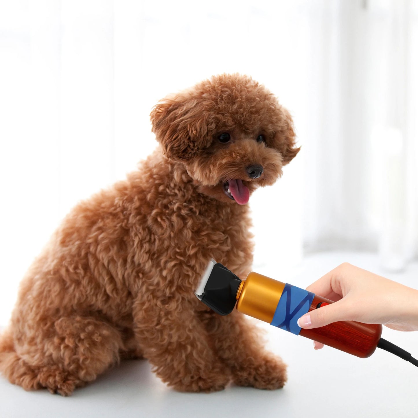 220V 36W Corded Electric Pet Clippers for Long-Haired Cats and Dogs with Nylon Steel Ceramic Blade and Speed Range 1000-6600rpm