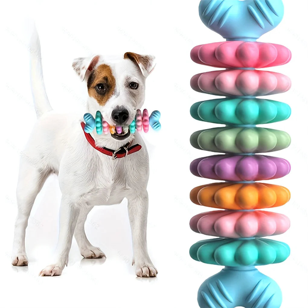 2PCS Set Pet Toy Dog Chew Bone Multi Color Durable Teething Resistant Design for Gnawing and Dental Care