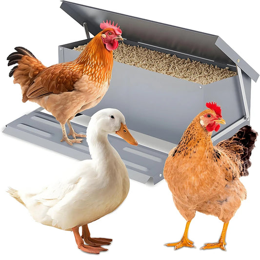 Automatic Chicken Feeder Stainless Steel Poultry Feeding Trough Feed Dispenser Equipment