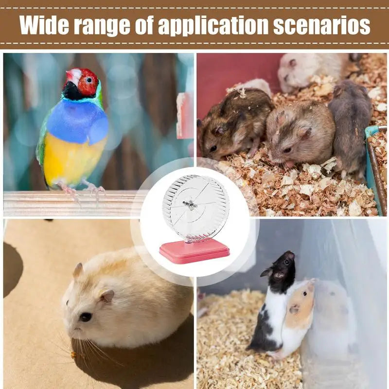 Hamster Sport Running Wheel Double Bearing Silent Jogging Toy for Small Rodents Gerbils Exercise Play Accessories